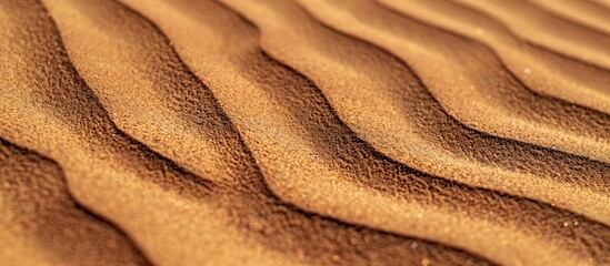 Wall Mural - Background with textured brown sand providing copy space image.