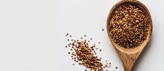 Poster - Wooden spoon with quinoa seeds on a white backdrop, perfect for copy space image.