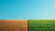 © Holly Design - Contrast between barren soil and lush green field under clear blue sky, representing growth, nature, and agricultural transformation.