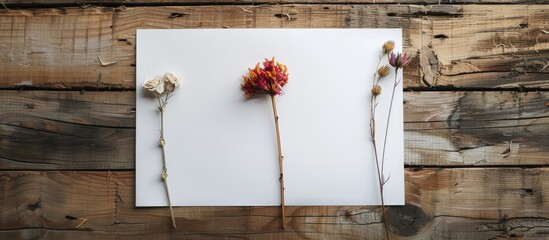 Poster - A white sheet of paper on a rustic wooden backdrop adorned with three dried flowers, suitable for a postcard with a loft vibe, featuring copy space image.
