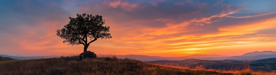 silhouette of a lone tree against sunset gradient orange blue sky twilight time