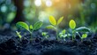 © PStyle - Young plants emerging from soil, symbolizing sustainable growth and environmental care.