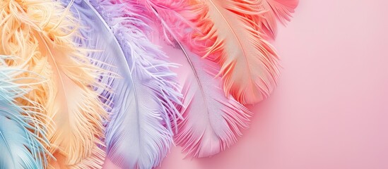 Aufkleber - Delicate colors enhance ostrich feathers in a close-up photo on a pastel background, neatly arranged for a flat lay with a top view and copy space image.