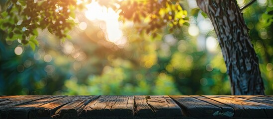 Aufkleber - Blurry nature background with a tabletop providing copy space image.