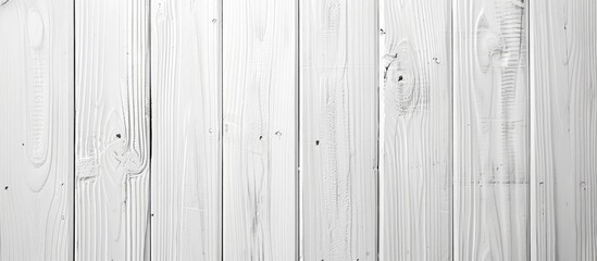 Poster - Background featuring a white wood plank texture, perfect for a copy space image.