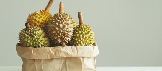 Poster - Durian in a bag with a crispy texture, set against a white background with space for additional imagery.