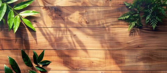 Poster - Background featuring a natural pattern on a wooden surface with copy space image.