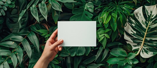 Aufkleber - Card mockup featuring a hand holding a card against a green backdrop with plant elements, providing space for text or images. image with copy space