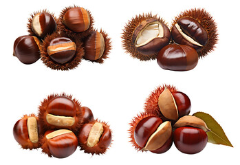 Sticker - a group of brown and tan nuts