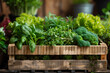 © ArtMajestic - Wooden box with useful leafy greens at farm market. Included broccoli, spinach, basil, lettuce and microgreens. Concept of organic food, natural products, sustainability and eco friendly