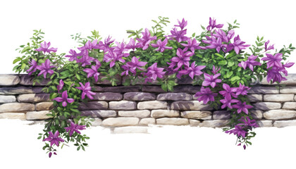 Wall Mural - purple flowers on the brick wall watercolor isolated on transparent background cutout