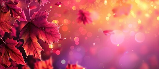Aufkleber - Colorful autumn leaves with bokeh lights surrounding a copy space image on a gradient backdrop.