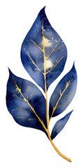 Wall Mural - PNG Indigo leaf plant white background tobacco.