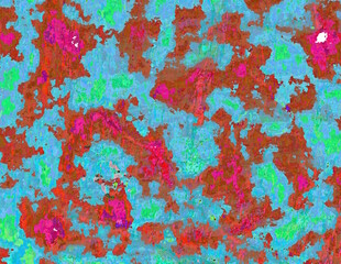 Poster - Abstract multicolored background. The bark of the tree. The texture.