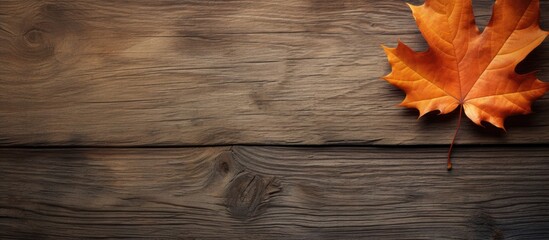 Poster - Fallen leaf on a rustic wooden surface with a blank area for a picture (copy space image).