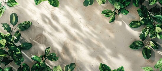 Wall Mural - Botanical-themed background featuring a blank area for text or images. Ideal for product promotion, showcasing, or packaging display. Shows light, shadow, and frontal perspective