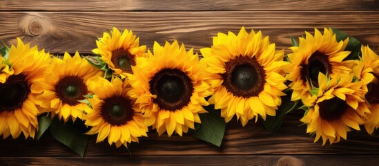 Aufkleber - Sunflowers as decoration on a wooden backdrop with copy space image available.