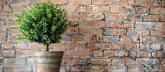 Fototapete - artificial green plant in a pot decorated in a room with background of brick wall. with copy space image. Place for adding text or design
