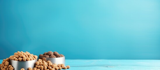 Poster - Blue background with pet food and basketball next to copy space image.