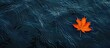 © vxnaghiyev - A solitary vibrant orange maple leaf floating in water, creating a simple autumn backdrop with ample copy space image.