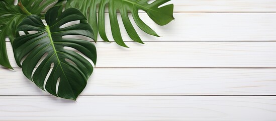 Poster - A summer-themed image featuring a green tropical monstera leaf on a white wooden table with a blank area for text or design, known as a copy space image.