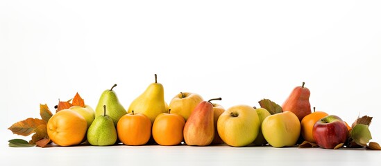 Aufkleber - An autumn-themed arrangement of pumpkins, apples, and pears on a white backdrop. The image is a flat lay with copy space.