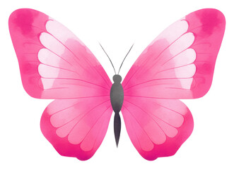 Sticker - PNG Cute butterflie butterfly animal insect.