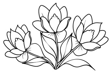 Wall Mural - Bouquet of daffodils in one line
