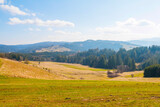 Fototapeta Most - Picturesque Landscapes of the Beskids. The Surroundings of the Town of Wisła