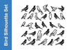© RH Creative Design  - Bird Silhouette Set with editable vector collections.