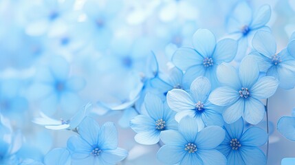 Wall Mural - Light blue flowers