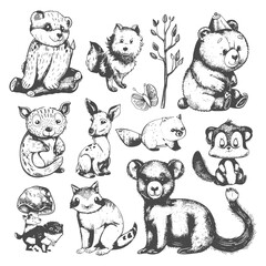 collection set hand drawn doodle cute animal with engraving style black color only