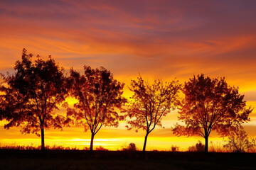 Colorful autumn trees silhouetted against an orange and yellow sky