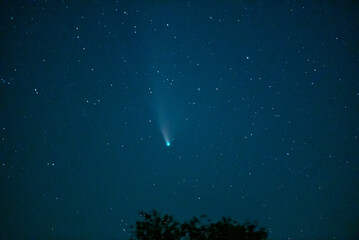 Neowise Comet 2