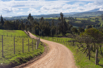 Wall Mural - Dirt road in a rural Colombian landscape with trees and mountains.