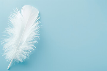 single white feather is lying on a minimalist pastel blue background with copy space