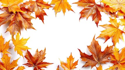Poster - Isolated frame of fall leaves on a clean white background.