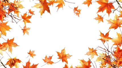 Poster - White background framed with colorful autumn leaves.
