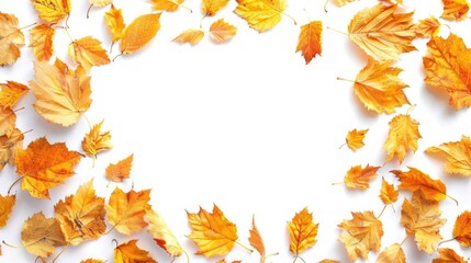 Poster - Autumn leaves forming a frame on a white background.