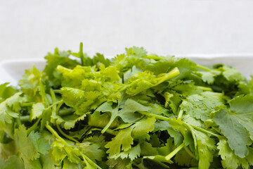 Poster - Fresh organic coriander, vegetables and herbs