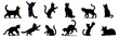 © Vasyl Yurlov - Set of black cat silhouettes.