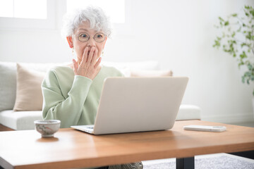 Wall Mural - senior woman surprised by a scam site or some phishing email while looking at her computer negative 