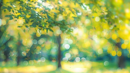 Wall Mural - abstract blurred image of trees and green leaves in a sunny park