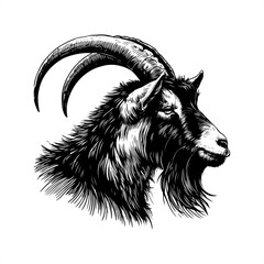 Goat in black and white animal drawing,