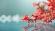 © TheWaterMeloonProjec - Red coral necklaces on clear glass with focus and empty space