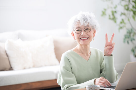 Motivated smiling senior (elderly) woman posing in front of a computer Image of a computer class, etc.