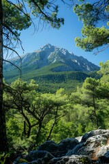 Canvas Print - mountain landscape with green trees and blue sky