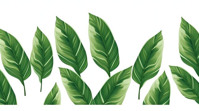 Botanical tropical leaves seamless pattern on white isolated background.