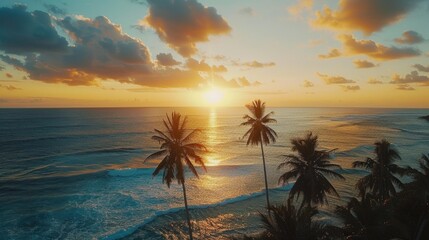 tropical beach with palm trees and ocean view at sunset