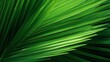 © CrazyJuke - Vibrant green palm leaf closeup, natures art